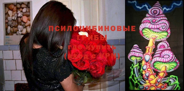 прущие грибы Армянск