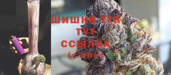 прущие грибы Армянск