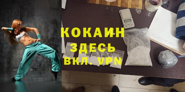 прущие грибы Армянск