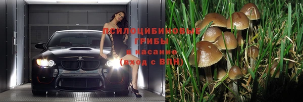 дмт Арсеньев