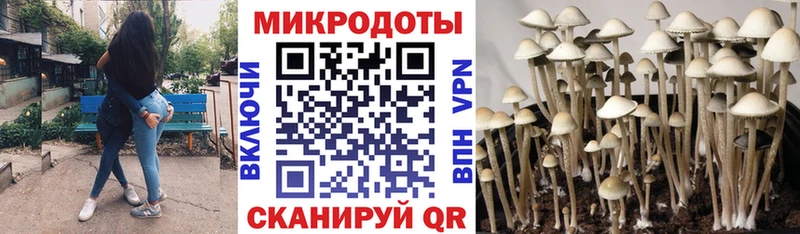 Галлюциногенные грибы прущие грибы  Кемь 