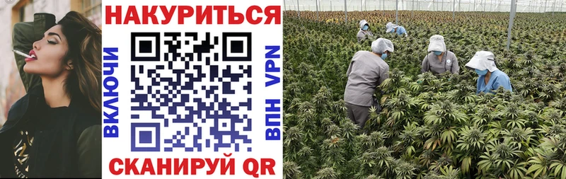 Бошки Шишки конопля Кемь